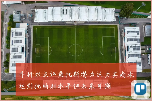 乔科尔点评桑托斯潜力认为其尚未达到托纳利水平但未来可期