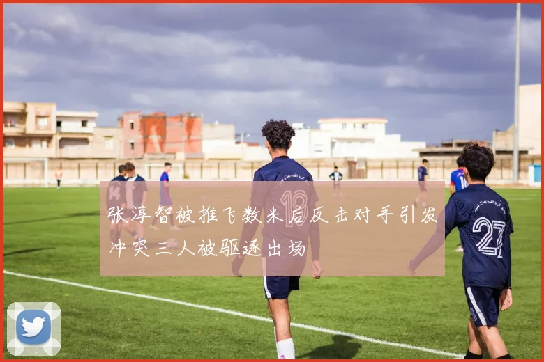 张淳智被推飞数米后反击对手引发冲突三人被驱逐出场